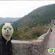 Illustration for article titled More Delightful Chinese Photoshop Trolls